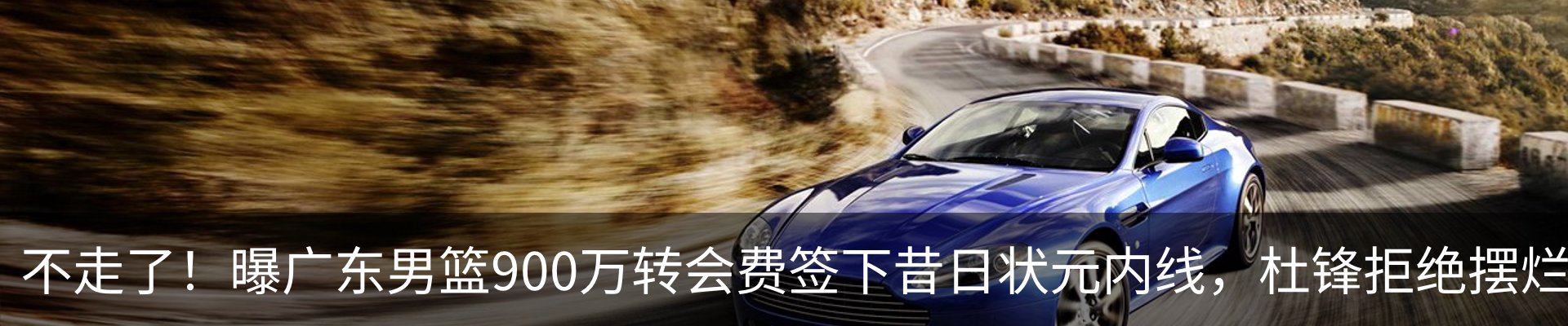 新闻动态