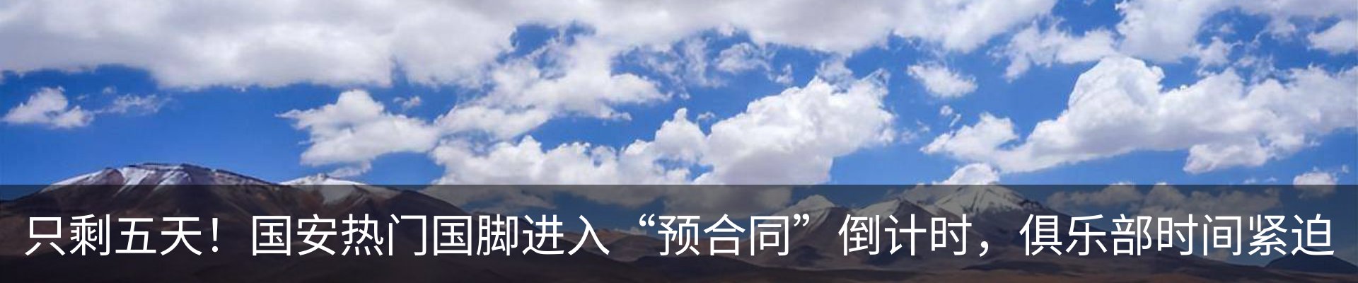 新闻动态
