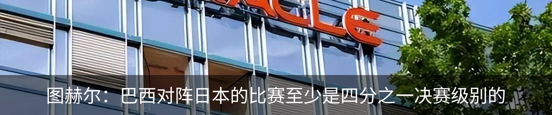 新闻动态