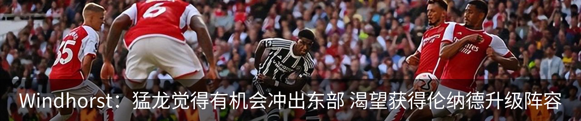 新闻动态